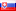 Slovakia's Flag